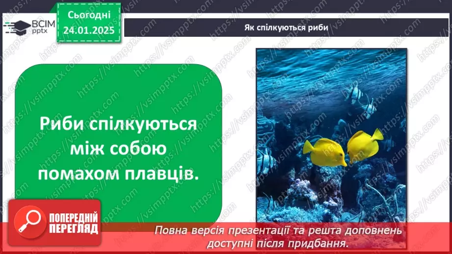 №0059 - Яка користь від знань7 №0059 - Яка користь від знань7