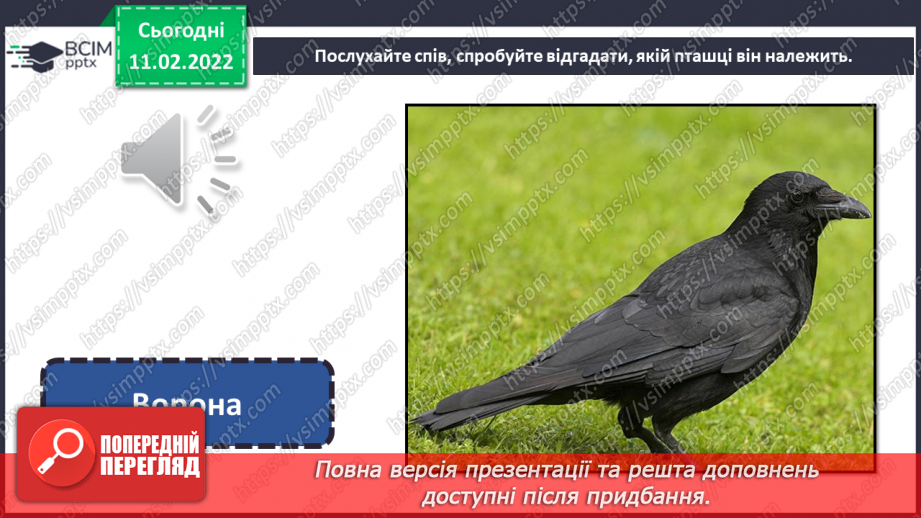 №23 - Основні поняття: анімація СМ: фото тварин і відповідних персонажів в анімації; м/ф «Курча в клітиночку»9