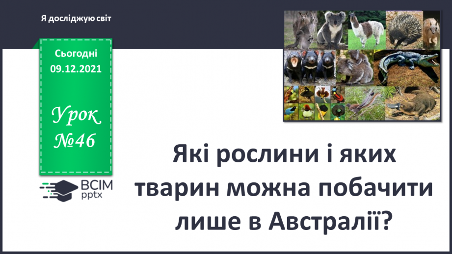 №046 - Які рослини і яких тварин можна побачити лише в Австралії?0