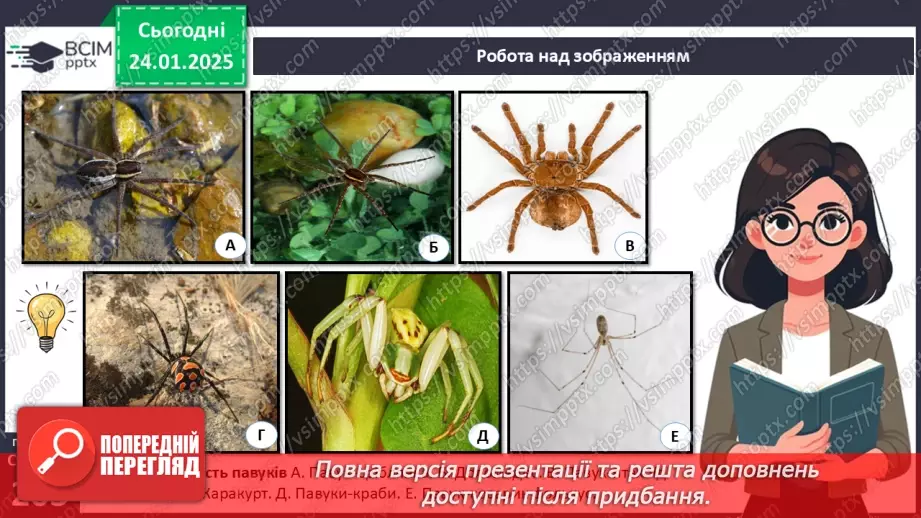 №58 - Павукоподібні.14
