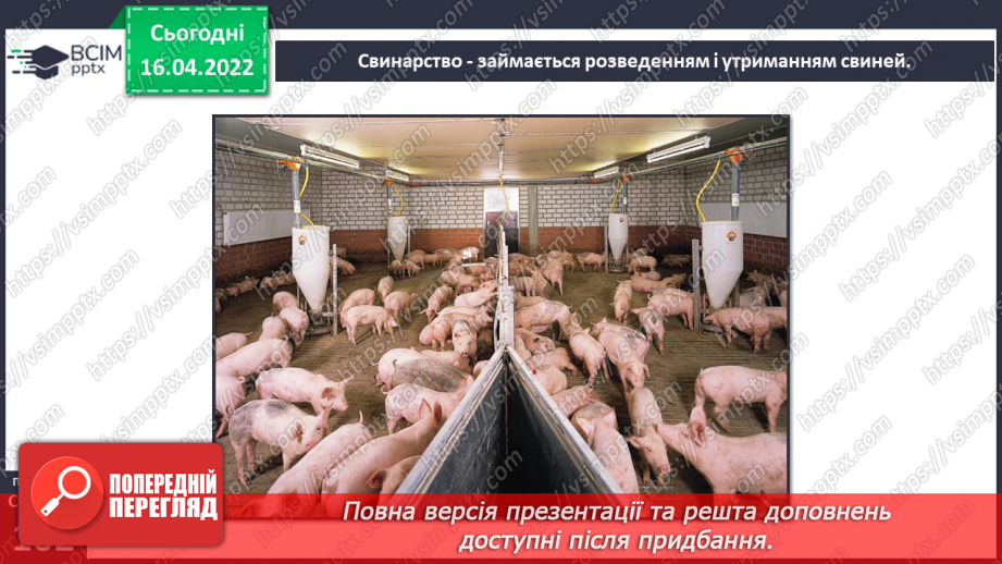 №090 - Тваринництво в рідному краї7 №090 - Тваринництво в рідному краї7
