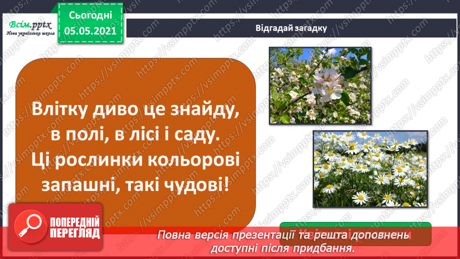 №036 - Квіткові рослини.4
