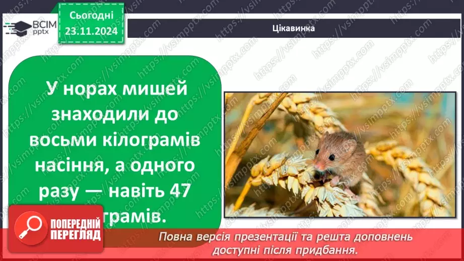 №0037 - Як звірі готуються до зими12 №0037 - Як звірі готуються до зими12