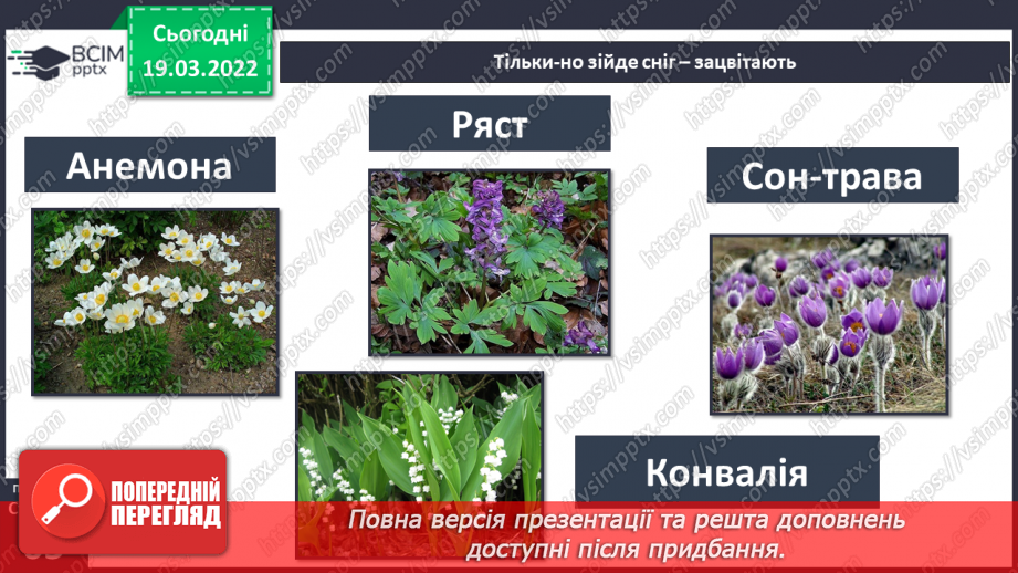 №078 - Природні зони України. Мішані та широколисті ліси.11 №078 - Природні зони України. Мішані та широколисті ліси.11