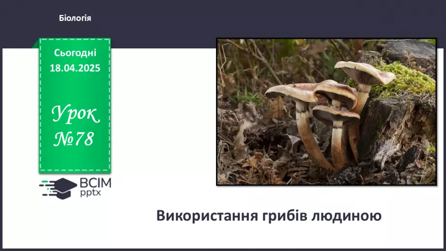 №78 - Використання грибів людиною.0 №78 - Використання грибів людиною.0