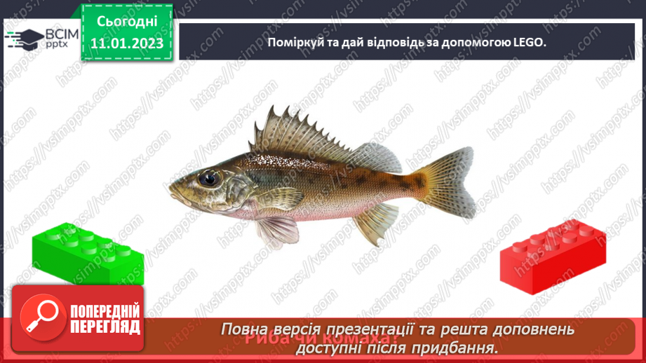 №0056 - Риби22 №0056 - Риби22