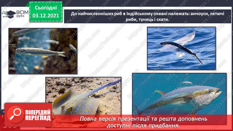 №045-47 - Океани Землі. Особливості природи океанів.15 №045-47 - Океани Землі. Особливості природи океанів.15