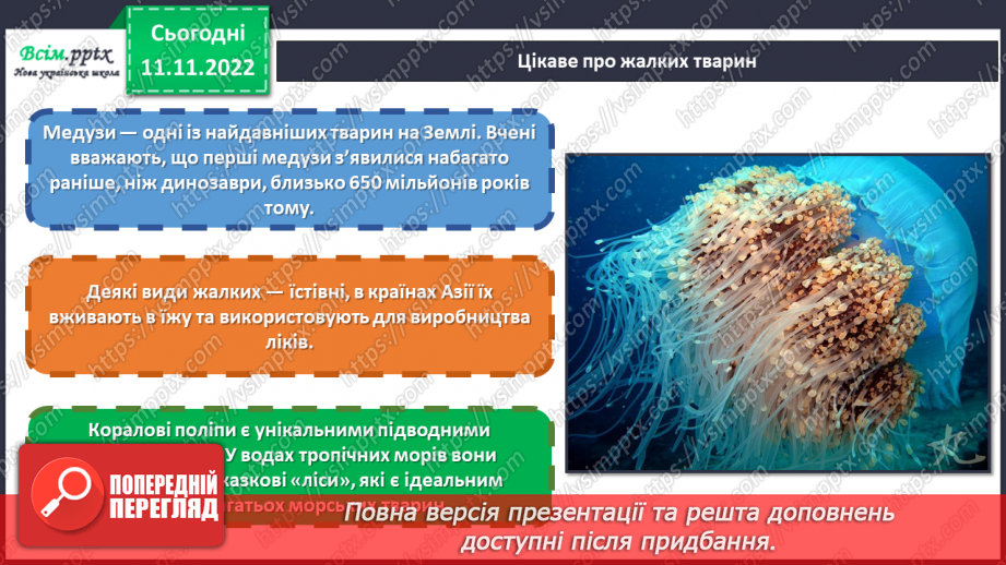 №13 - Черви, жалкі, голкошкірі та губки. Виготовляємо обкладинку інтерактивного зошита «Царство тварин».9