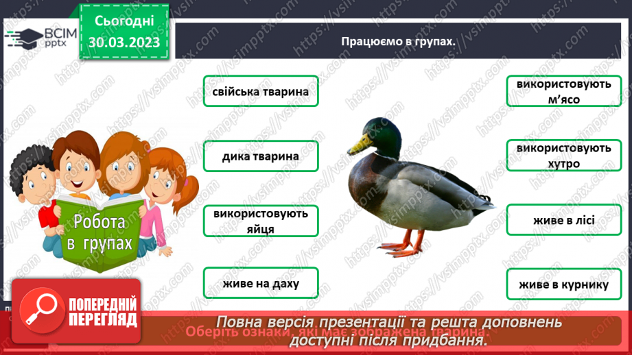 №0090 - Яких свійських тварин вирощують у рідному краї11 №0090 - Яких свійських тварин вирощують у рідному краї11