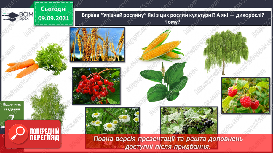 №011 - Які подорожі роблять нас щасливими?17