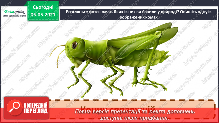 №041 - Різноманітність тварин у природі. Комахи13 №041 - Різноманітність тварин у природі. Комахи13