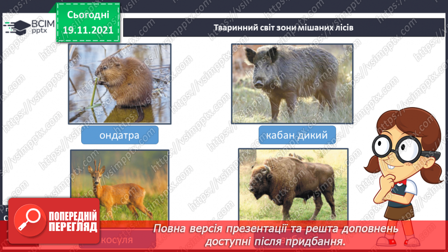 №039 - Подорожуємо  зонами мішаних і  широколистих лісів12