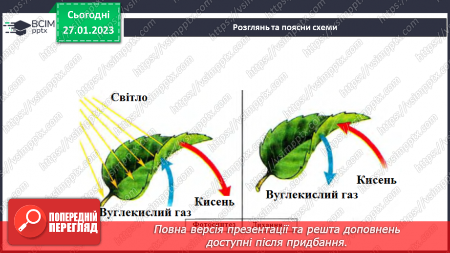 №41 - Процес живлення та дихання рослин.25