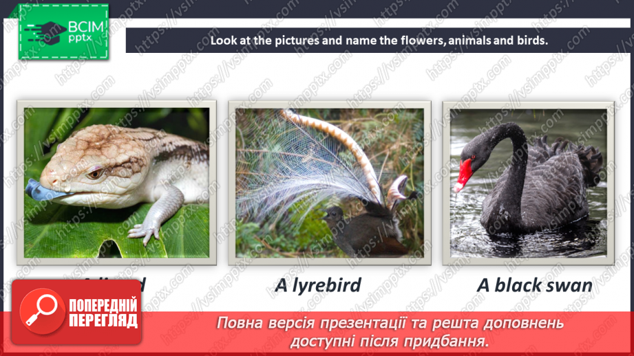 №081 - Fact File. Australia. Wildlife and Wild Flowers of Australia.16 №081 - Fact File. Australia. Wildlife and Wild Flowers of Australia.16