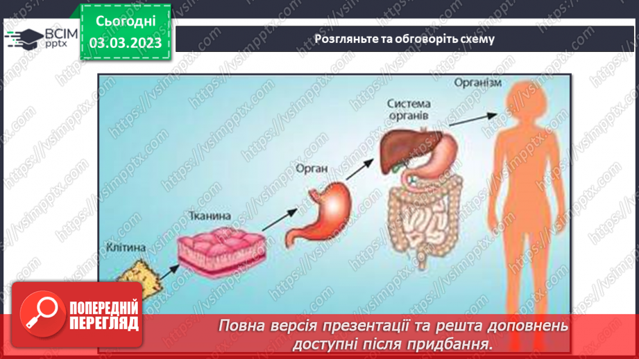 №51 - Узагальнення розділу «Клітини, бактерії, віруси, гриби, рослини і тварини».5