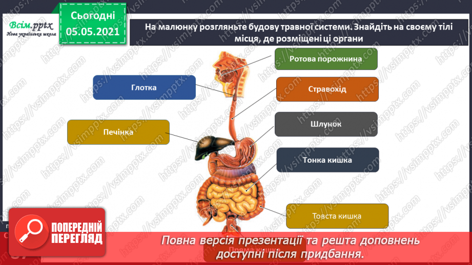 №066 - Як їжа перетворюється на поживні речовини.4 №066 - Як їжа перетворюється на поживні речовини.4