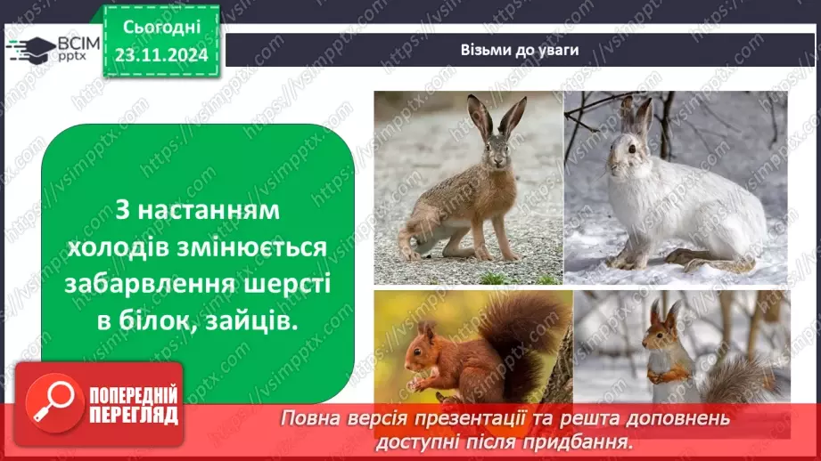 №0037 - Як звірі готуються до зими7 №0037 - Як звірі готуються до зими7