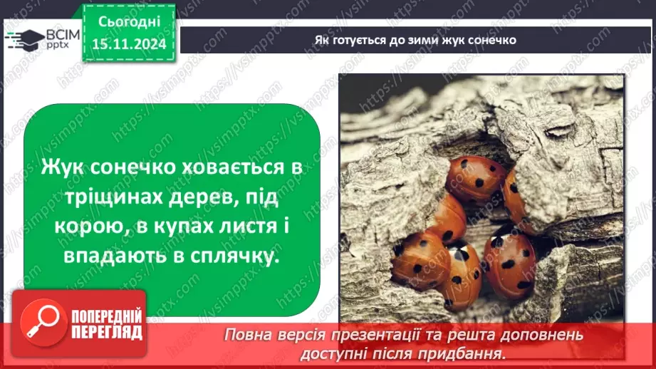 №0034 - Як осінні зміни впливають на комах13 №0034 - Як осінні зміни впливають на комах13