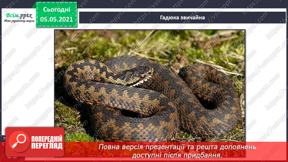 №044 - Різноманітність тварин у природі. Плазуни13 №044 - Різноманітність тварин у природі. Плазуни13