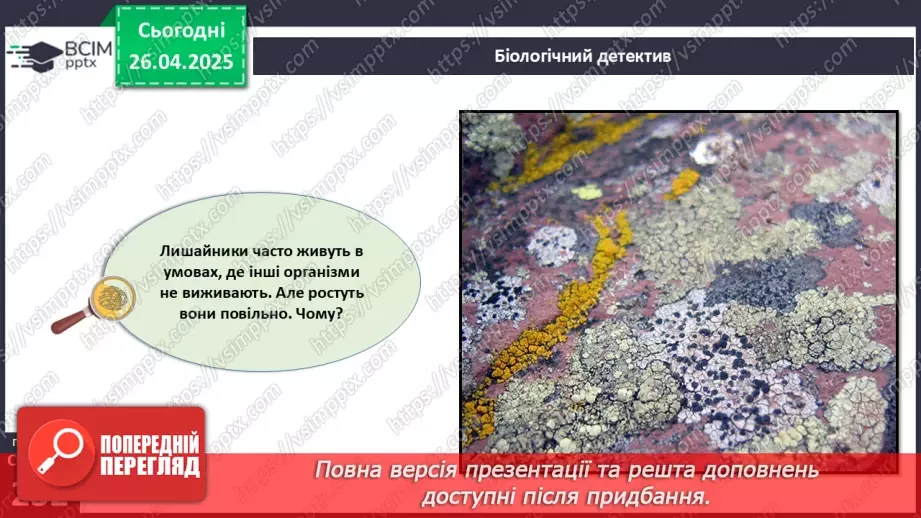 №79 - Лишайники.4 №79 - Лишайники.4