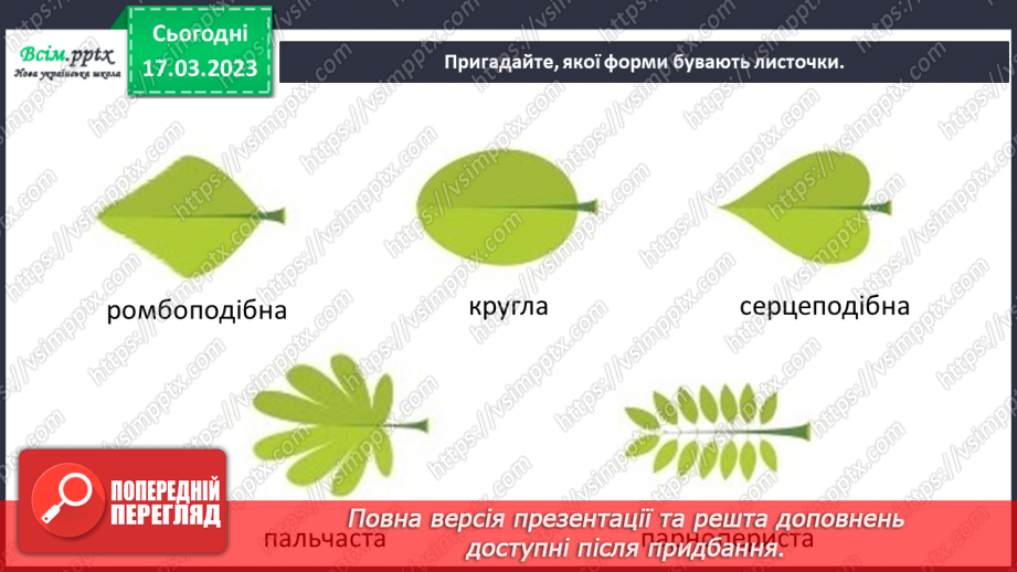 №28 - Живі листки на папері. Створення весняної листівки на тему «Бережімо природу»4 №28 - Живі листки на папері. Створення весняної листівки на тему «Бережімо природу»4