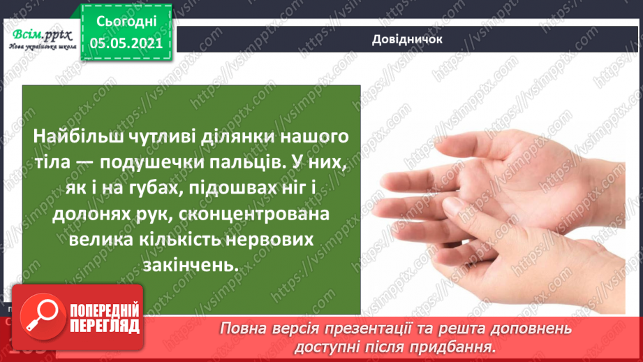№087 - Орган дотику.7