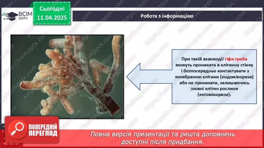 №76 - Значення грибів у природі. Паразитичні гриби.12 №76 - Значення грибів у природі. Паразитичні гриби.12