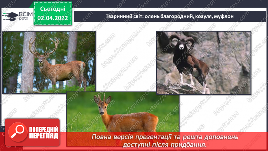 №083 - Кримські гори.14