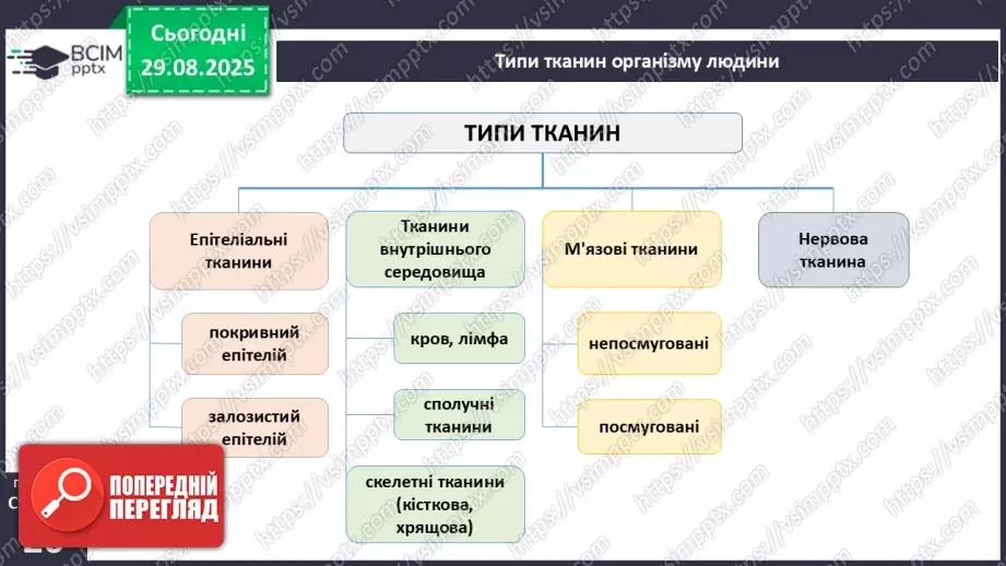 №005 - Тканини організму людини.7 №005 - Тканини організму людини.7