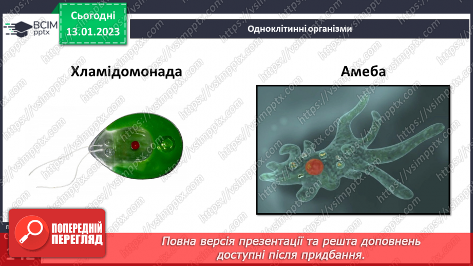 №38 - Організми та їх властивості. Методи дослідження організмів. Висівання і пророщування квасолі.18