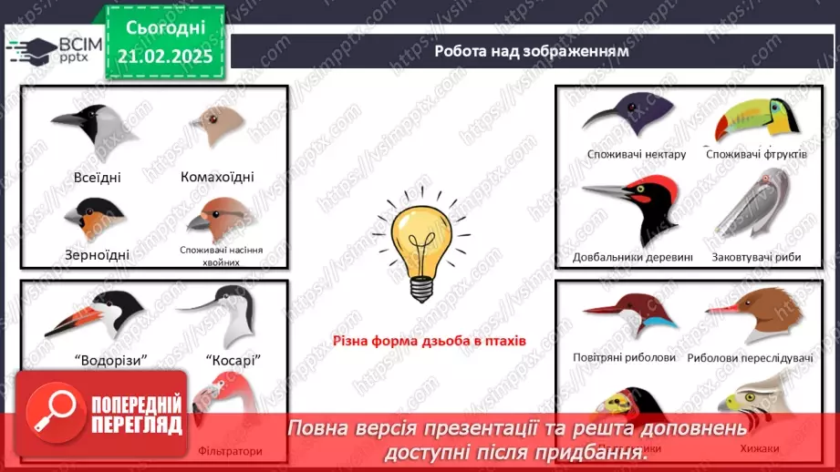 №64 - Птахи: риси пристосованості до польоту.9