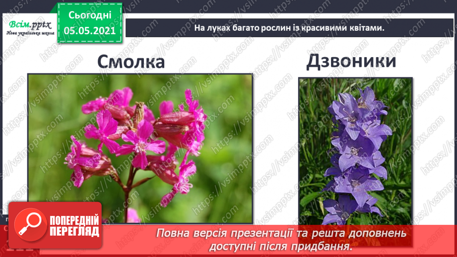 №095 - Ясніє в кожній квітці дивина.10 №095 - Ясніє в кожній квітці дивина.10
