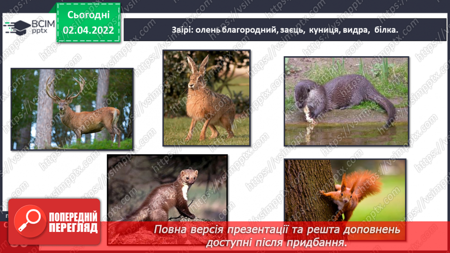 №082 - Українські Карпати15 №082 - Українські Карпати15