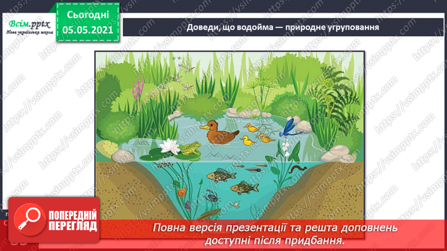 №052 - Природне угруповання — прісна водойма.33