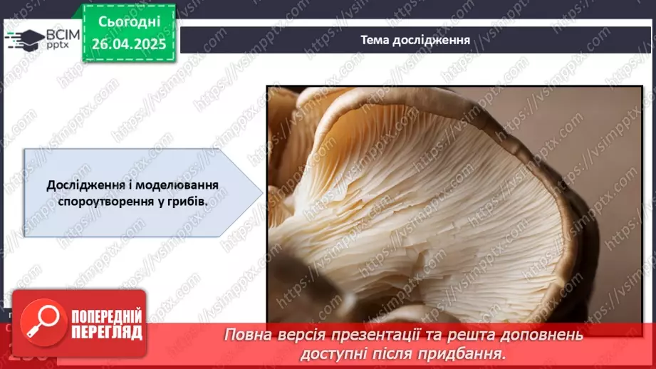 №80 - Узагальнювальні дослідницькі завдання.6 №80 - Узагальнювальні дослідницькі завдання.6