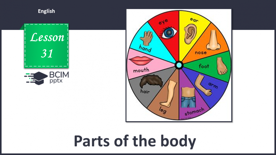 №031 - Частини тіла0 №031 - Частини тіла0