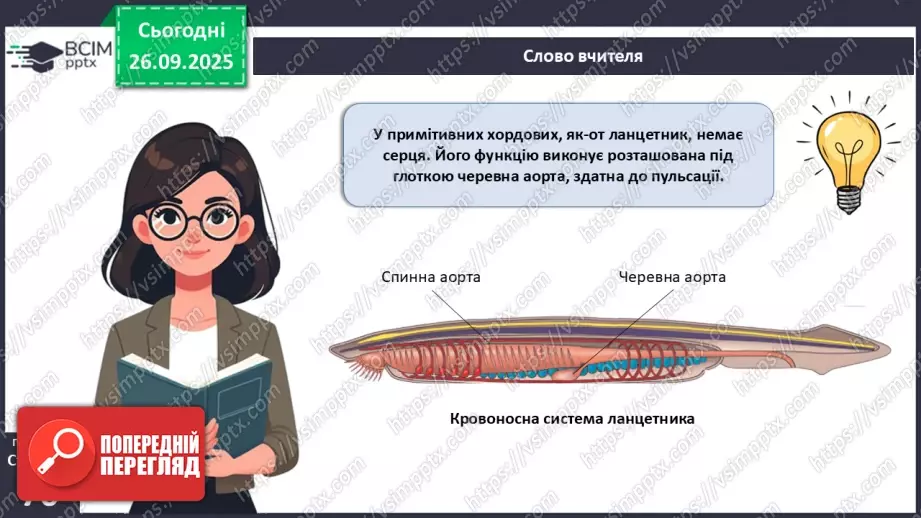 №016 - Еволюція кровоносної системи.13 №016 - Еволюція кровоносної системи.13