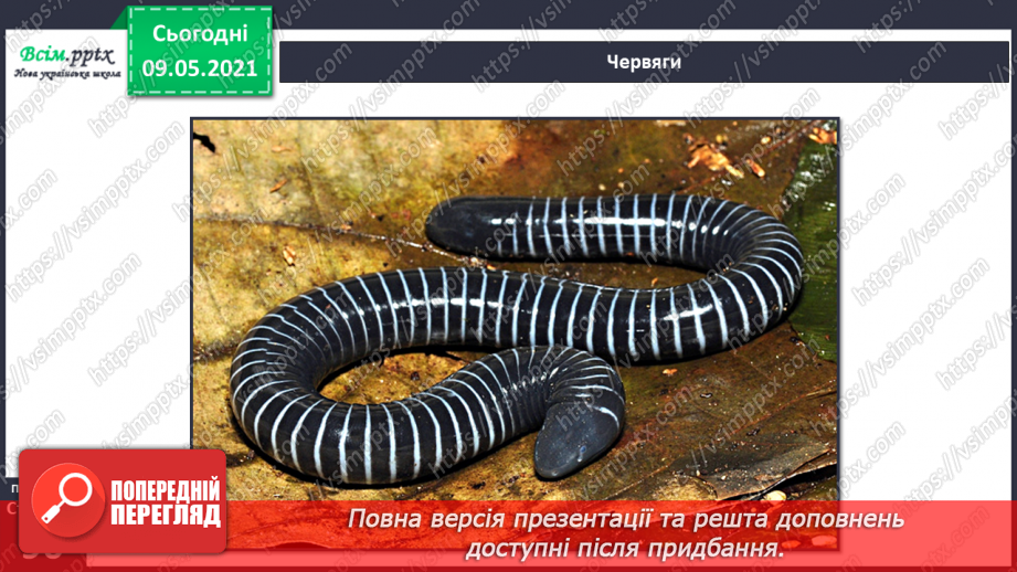 №064 - Чому земноводні мають таку назву?14 №064 - Чому земноводні мають таку назву?14