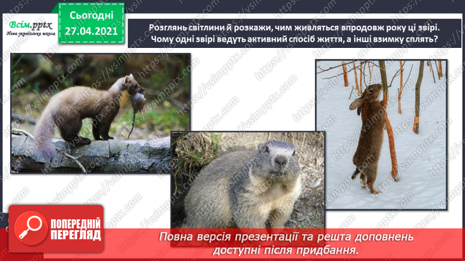 №088-89 - Які турботи приносить весна звірам?5