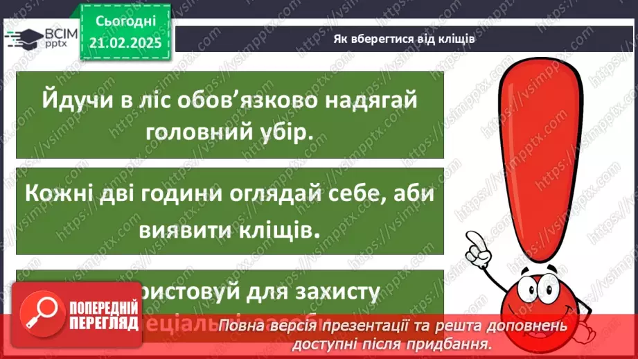 №0072 - Які комахи з’являються першими навесні19