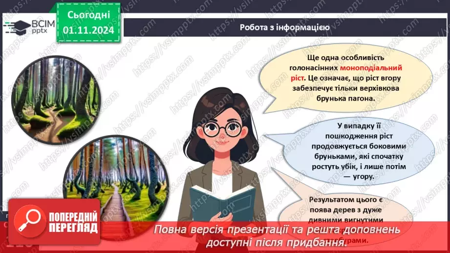 №31 - Насінні рослини та їх значення. Голонасінні.16 №31 - Насінні рослини та їх значення. Голонасінні.16