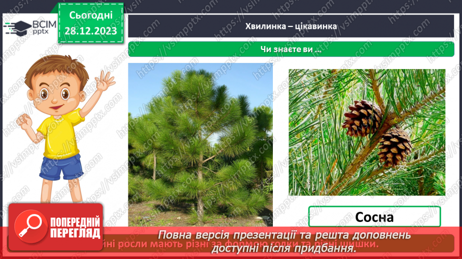 №052 - Які бувають рослини11 №052 - Які бувають рослини11