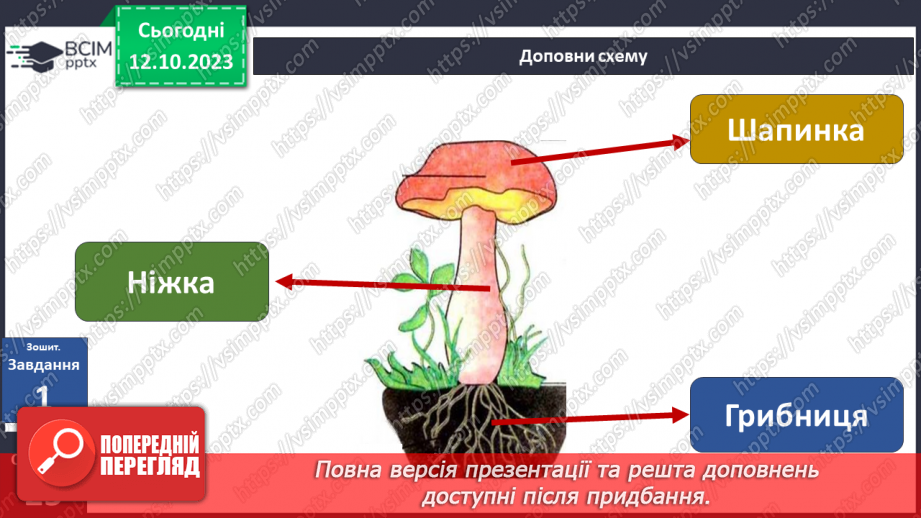 №024 - Осінь - грибна пора26 №024 - Осінь - грибна пора26