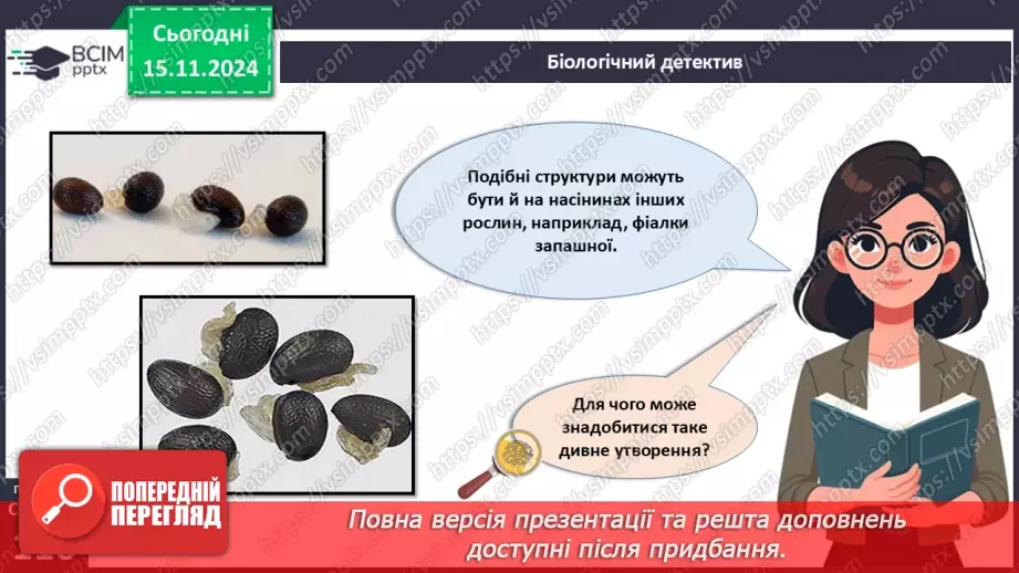 №34 - Квіткові. Насінина і плід. Поширення плодів і насінин.6 №34 - Квіткові. Насінина і плід. Поширення плодів і насінин.6