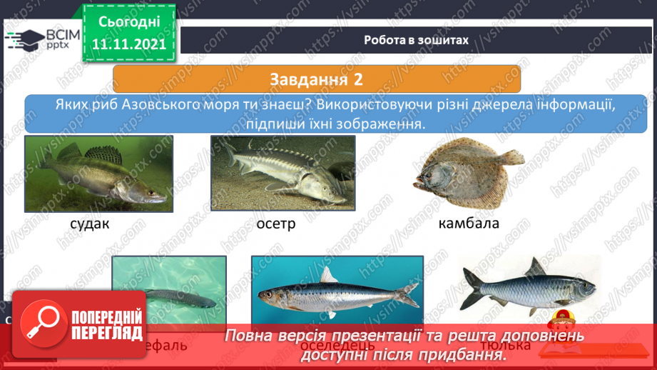 №035 - Які скарби приховує Азовське море14 №035 - Які скарби приховує Азовське море14