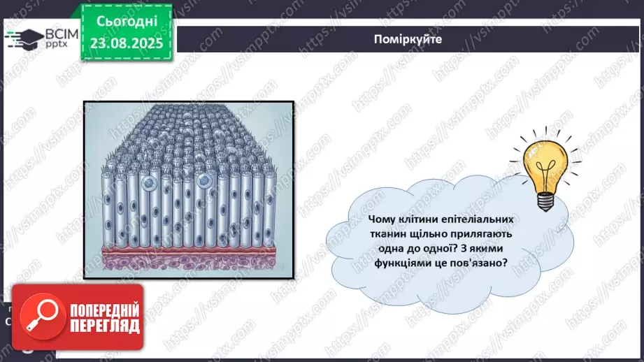 №001 - Організм людини та тварин як багаторівнева біологічна система. Клітини і тканини.29 №001 - Організм людини та тварин як багаторівнева біологічна система. Клітини і тканини.29