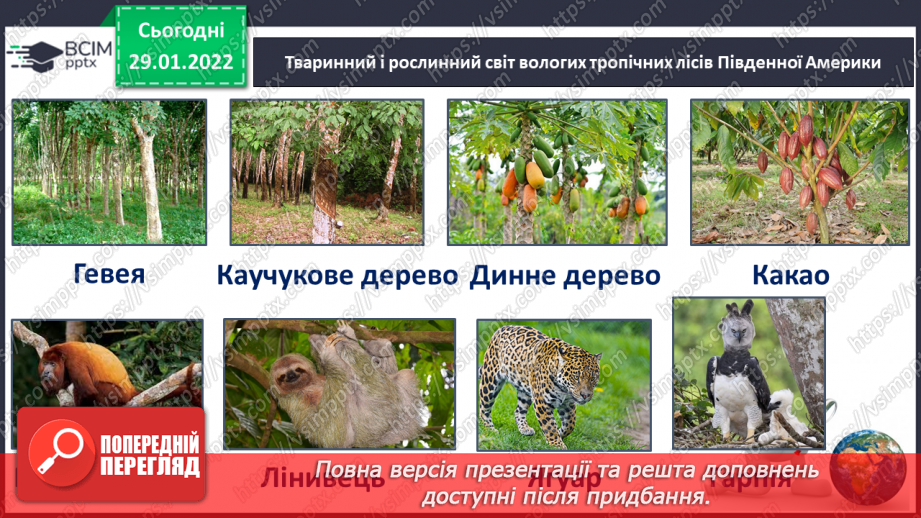 №061 - Рослинний і тваринний світ Південної Америки9 №061 - Рослинний і тваринний світ Південної Америки9