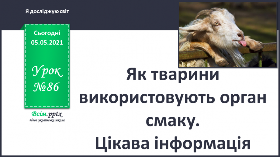 №086 - Як тварини використовують орган смаку. Цікава інформація.0