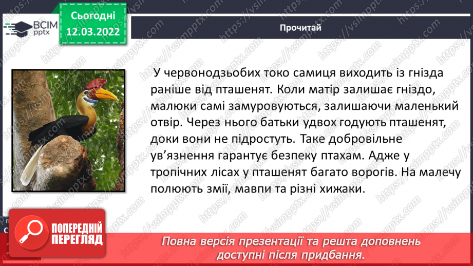 №092 - Т. Колодницька «Птахи – носороги»12 №092 - Т. Колодницька «Птахи – носороги»12