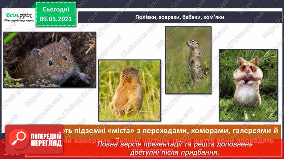 №074-75 - Які тварини живуть на луках, у степах і водоймах?16